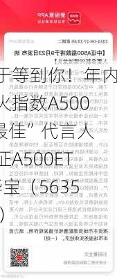 终于等到你！年内最火指数A500“最佳”代言人 中证A500ETF华宝（563500）