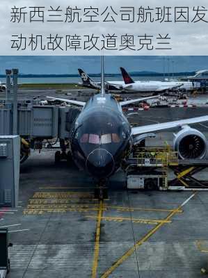 新西兰航空公司航班因发动机故障改道奥克兰