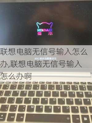 联想电脑无信号输入怎么办,联想电脑无信号输入怎么办啊