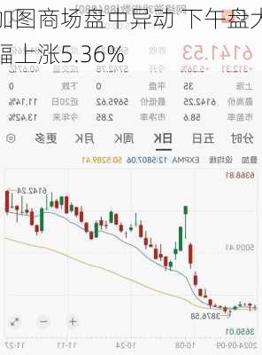 加图商场盘中异动 下午盘大幅上涨5.36%