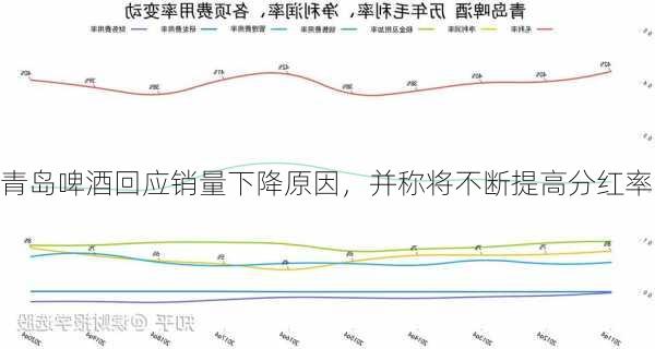 青岛啤酒回应销量下降原因，并称将不断提高分红率